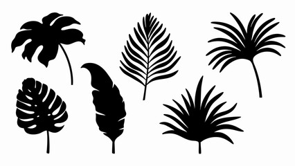 set palm leaf silhouette vector on white background © Rani
