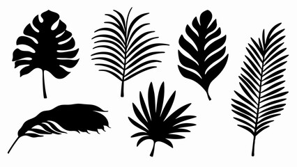 set palm leaf silhouette vector on white background © Rani
