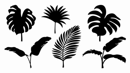 set palm leaf silhouette vector on white background © Rani