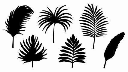 set palm leaf silhouette vector on white background © Rani