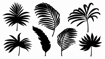set palm leaf silhouette vector on white background © Rani