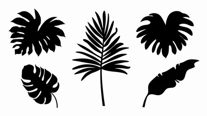 set palm leaf silhouette vector on white background