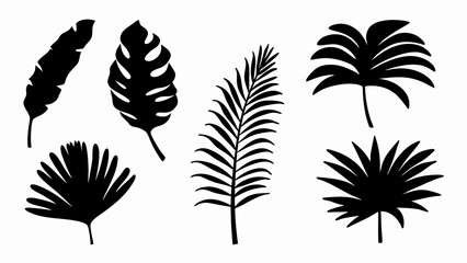 set palm leaf silhouette vector on white background © Rani