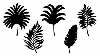 set palm leaf silhouette vector on white background © Rani