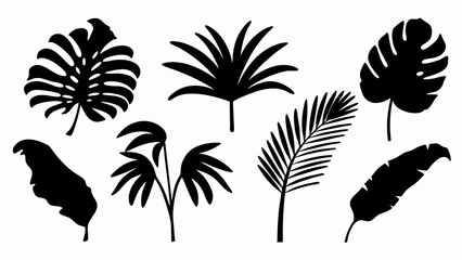 set palm leaf silhouette vector on white background © Rani