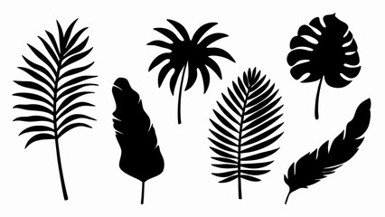set palm leaf silhouette vector on white background © Rani