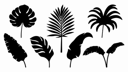 set palm leaf silhouette vector on white background © Rani