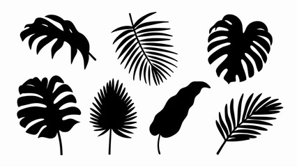 set palm leaf silhouette vector on white background © Rani