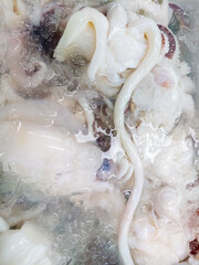 Fresh Octopus Tentacles on Ice for Sale at a Seafood Market.