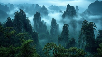 Misty Blue Mountains and Lush Green Forest