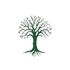 Obraz premium Bare Tree with Exposed Roots Illustration