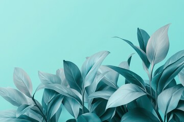 Teal foliage decorates a mint green backdrop.