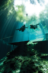 Scuba Diving | Marine life | Diver | Ocean