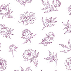 botanical pattern peonies linear pink lines sketch on white background