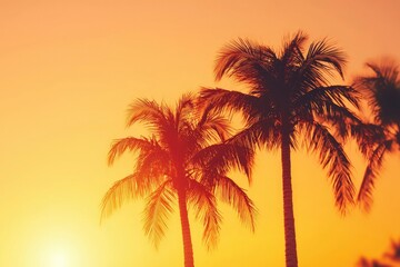 Tropical Sunset Silhouette