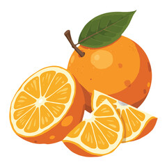 Delicious Orange Fruits with Slice and Green Leaf Isolated Hand Drawn Vector Illustration