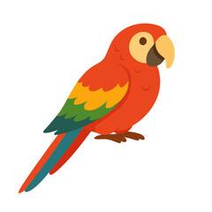 Bright cartoon macaw parrot with rainbow feathers. Flat vector illustration of exotic pet bird. © exxxistence