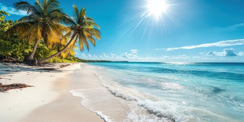 Serene Tropical Beach with Palm Trees and Crystal Clear Water Under Bright Sunlight in a Picturesque Coastal Paradise