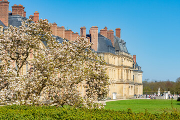 Fontainebleau palace (Chateau de Fontainebleau) and gardens in spring, France