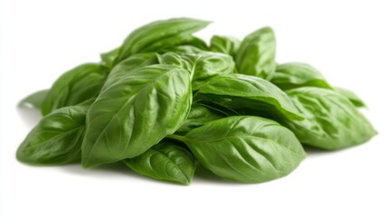 Fototapeta premium Fresh basil leaves. A pile of vibrant green basil leaves, tightly clustered together. 
