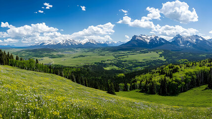 Obraz premium Panorama Of Alpine Meadow And Mountain Range Under Sunny Sky