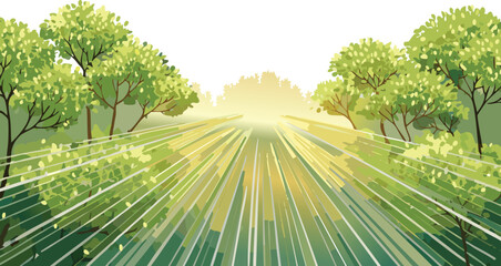 Sunlight Rays Shining Through Forest Canopy Vector Isolated, Golden Hour Woodland Glow, Divine Nature Light Effect, Enchanted Tree Tunnel Illustration
