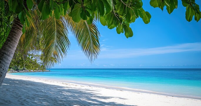 Tranquil Beach Scene with Palm Trees and Clear Blue Sky, Perfect for Relaxation and Escape from Daily Life