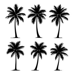 Palm trees silhouettes