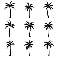 Palm trees Set Palm trees silhouettes