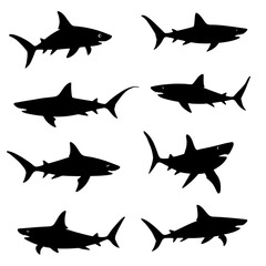 set of sharks