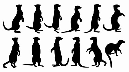 set meerkat silhouette vector on white background