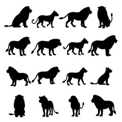set of lion cub silhouette vector on white background
