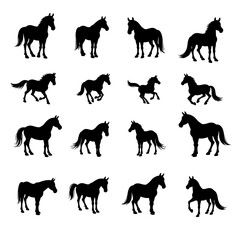 Set of Horse silhouette vector on white background
