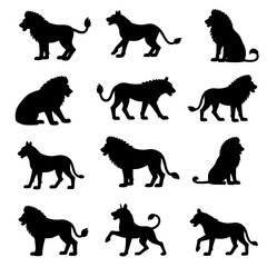 set of lion cub silhouette vector on white background
