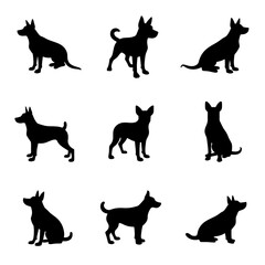 Set dog silhouettes isolated on white background