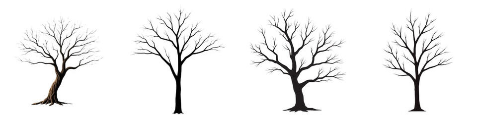 Set of Bare Tree Branch Silhouettes - Isolated Illustrations