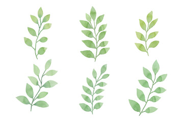 Watercolor floral illustration set - green leaf branches collection, for wedding, greetings, stationary,  fashion, wallpapers, background.