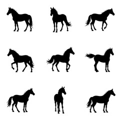 Horse silhouettes collection