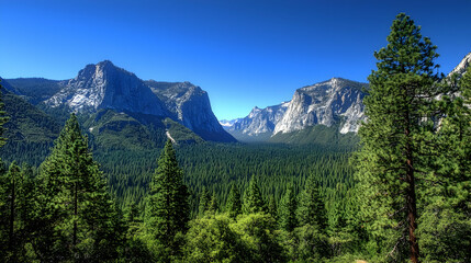 Obraz premium Mountain Valley View With Evergreen Forest