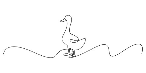 Duck continuous line art isolated on white background vector illustration © aminul788