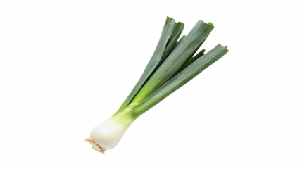 a bulb of onion on a transparent background, PNG image, PNG file, Generative art.