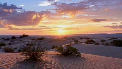 a vibrant sunset casts warm hues across a sweeping desert landscape dotted with sparse vegetation and undulating sand dunes.