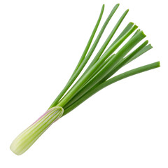 Fototapeta premium Single chive stalk floating on a transparent background, perfect for food and culinary projects