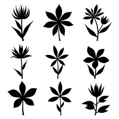 Set of floral elements, Set of black silhouettes of flowers on white background, set of black and white flowers