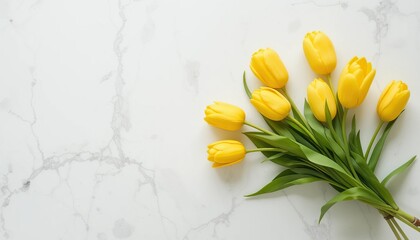 Bouquet of yellow tulips on a white background with space for text