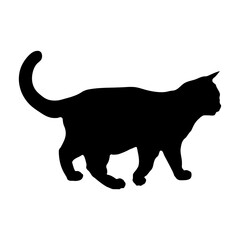 Elegant Cat Silhouette