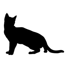 Elegant Cat Silhouette