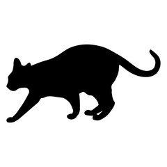 Elegant Cat Silhouette