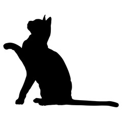 Elegant Cat Silhouette