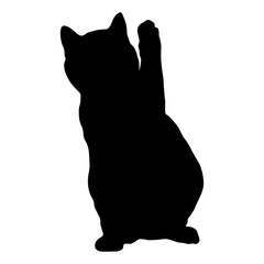 Elegant Cat Silhouette